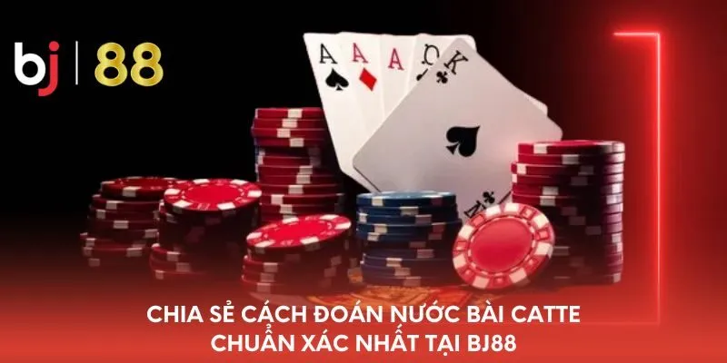 chia-se-cach-doan-nuoc-bai-catte-chuan-xac-nhat-tai-bj88