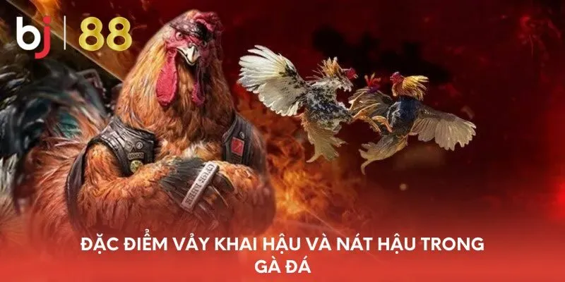 dac-diem-vay-khai-hau-va-nat-hau-trong-ga-da