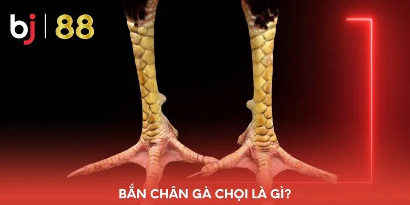 ban-chan-ga-choi-la-gi