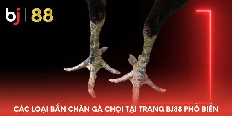 cac-loai-ban-chan-ga-choi-tai-trang-bj88-pho-bien
